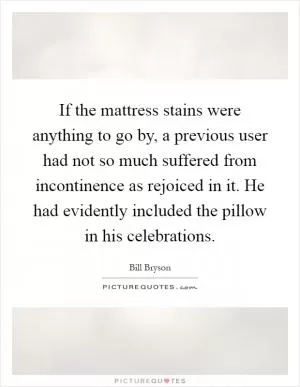 If the mattress stains were anything to go by, a previous user had not so much suffered from incontinence as rejoiced in it. He had evidently included the pillow in his celebrations Picture Quote #1