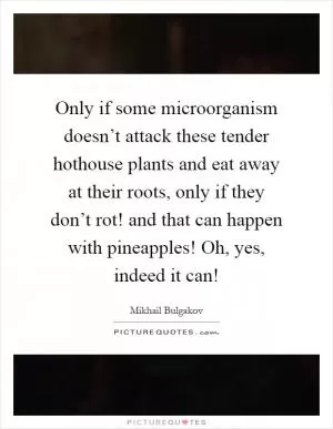 Only if some microorganism doesn’t attack these tender hothouse plants and eat away at their roots, only if they don’t rot! and that can happen with pineapples! Oh, yes, indeed it can! Picture Quote #1