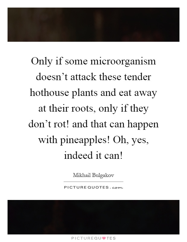 Only if some microorganism doesn't attack these tender hothouse plants and eat away at their roots, only if they don't rot! and that can happen with pineapples! Oh, yes, indeed it can! Picture Quote #1