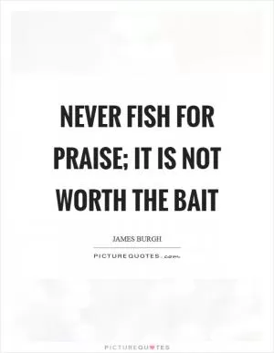 Never fish for praise; it is not worth the bait Picture Quote #1
