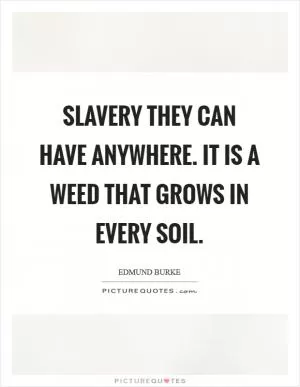 Slavery they can have anywhere. It is a weed that grows in every soil Picture Quote #1