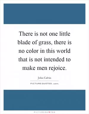 There is not one little blade of grass, there is no color in this world that is not intended to make men rejoice Picture Quote #1