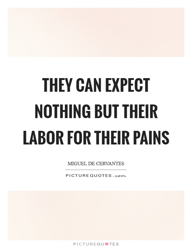 They can expect nothing but their labor for their pains Picture Quote #1