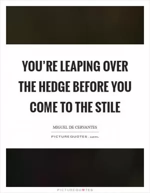 You’re leaping over the hedge before you come to the stile Picture Quote #1