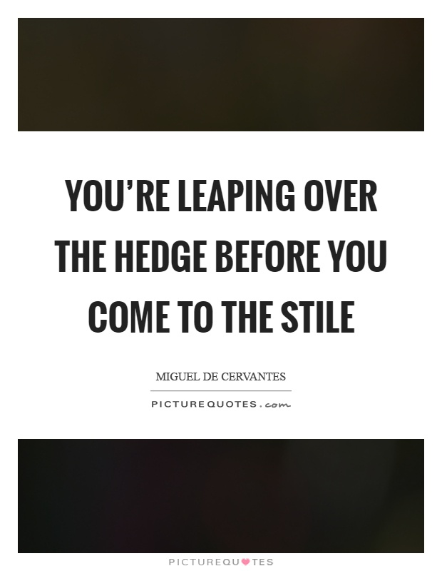 You're leaping over the hedge before you come to the stile Picture Quote #1