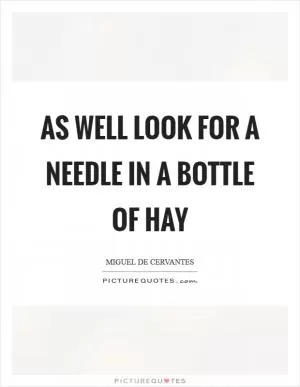 As well look for a needle in a bottle of hay Picture Quote #1