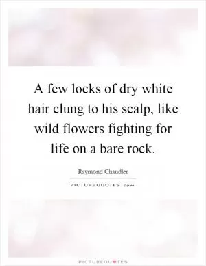 A few locks of dry white hair clung to his scalp, like wild flowers fighting for life on a bare rock Picture Quote #1