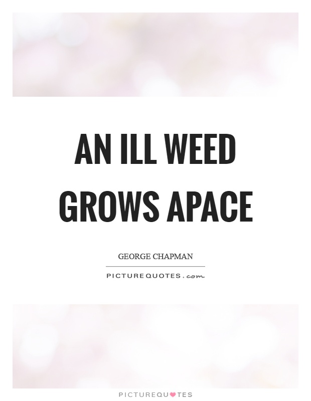 An ill weed grows apace Picture Quote #1