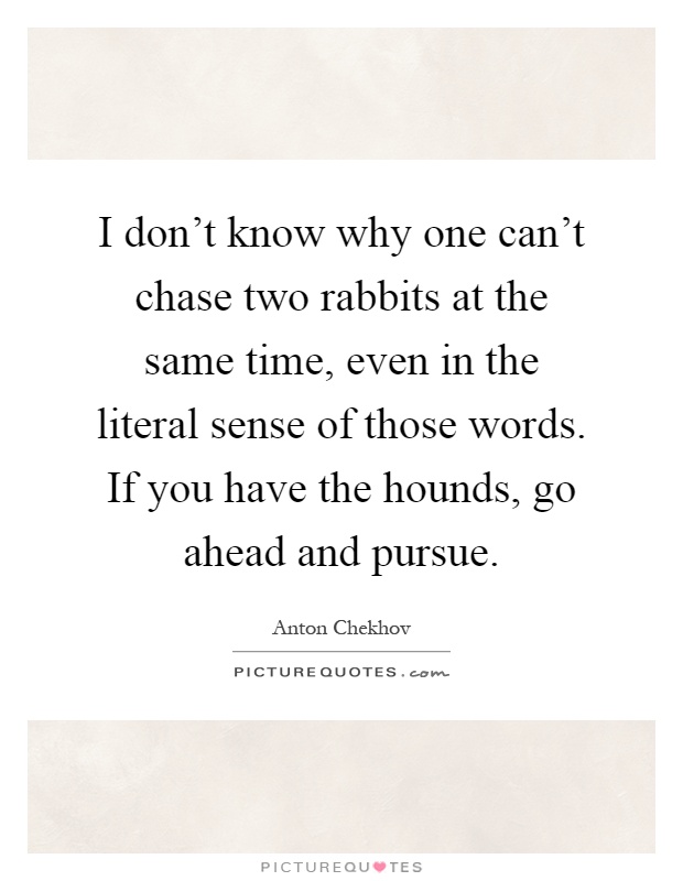 I don't know why one can't chase two rabbits at the same time, even in the literal sense of those words. If you have the hounds, go ahead and pursue Picture Quote #1