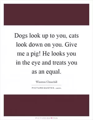 Dogs look up to you, cats look down on you. Give me a pig! He looks you in the eye and treats you as an equal Picture Quote #1