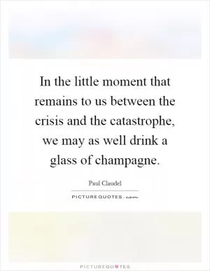 In the little moment that remains to us between the crisis and the catastrophe, we may as well drink a glass of champagne Picture Quote #1