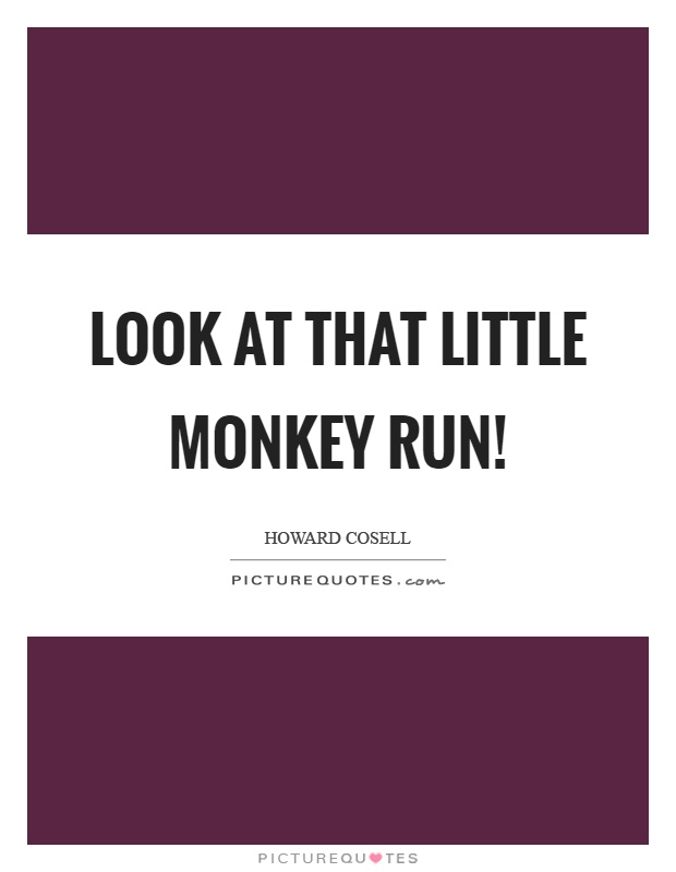 Look at that little monkey run! Picture Quote #1