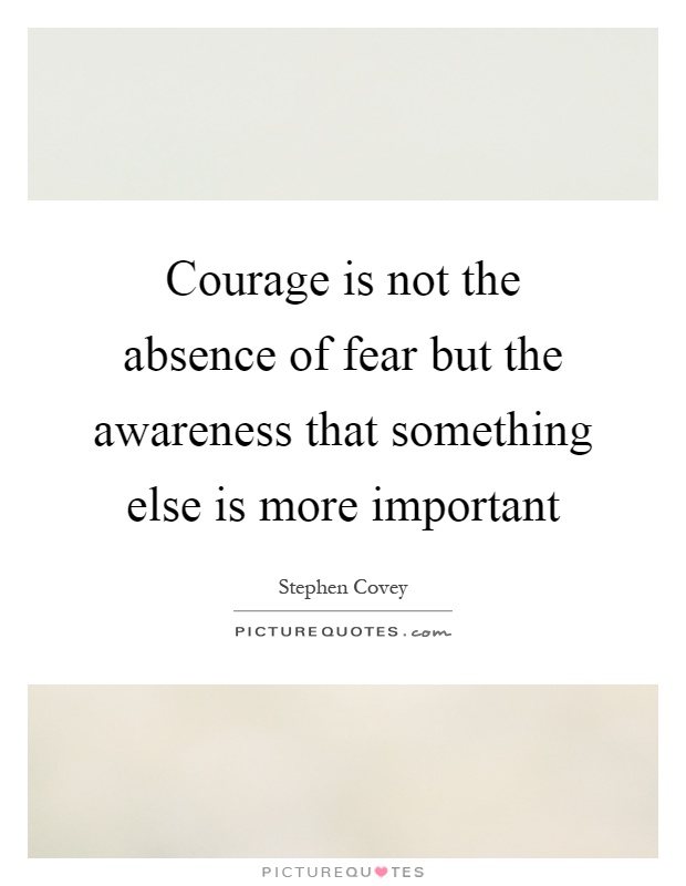 Courage is not the absence of fear but the awareness that something else is more important Picture Quote #1