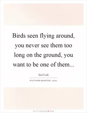 Birds seen flying around, you never see them too long on the ground, you want to be one of them Picture Quote #1