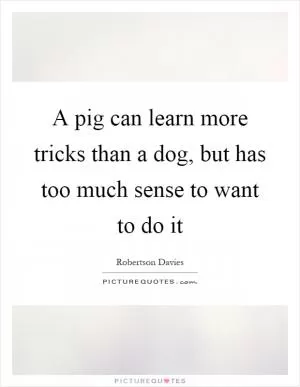 A pig can learn more tricks than a dog, but has too much sense to want to do it Picture Quote #1
