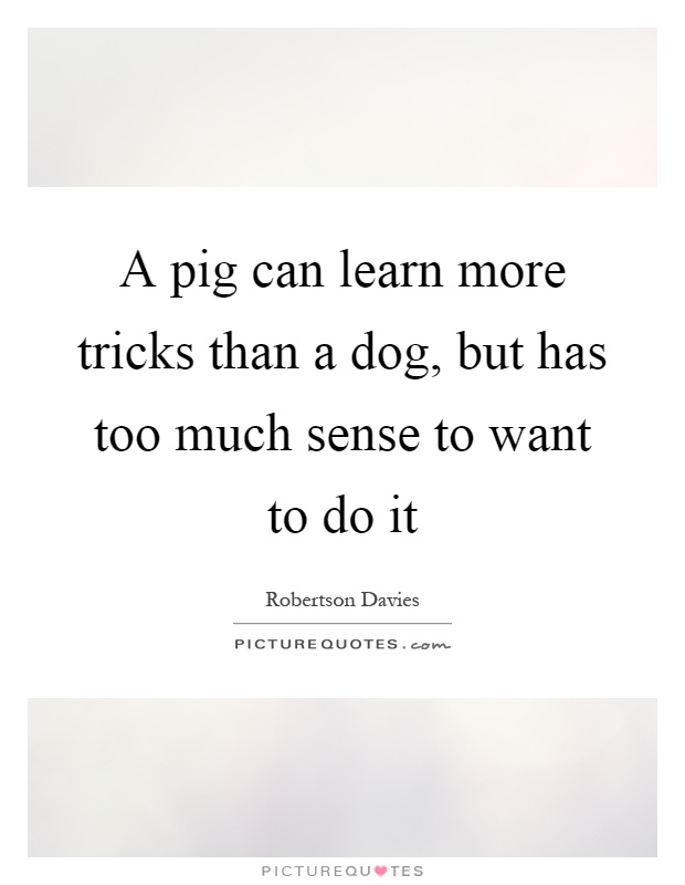A pig can learn more tricks than a dog, but has too much sense to want to do it Picture Quote #1