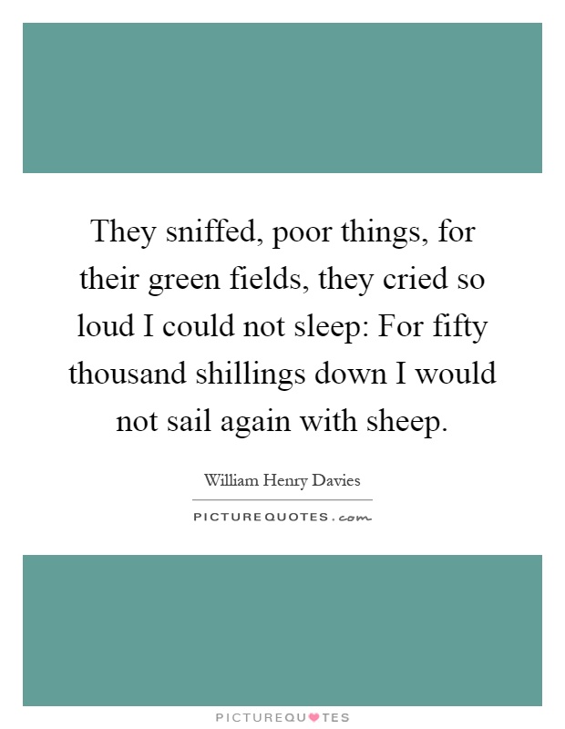 They sniffed, poor things, for their green fields, they cried so loud I could not sleep: For fifty thousand shillings down I would not sail again with sheep Picture Quote #1