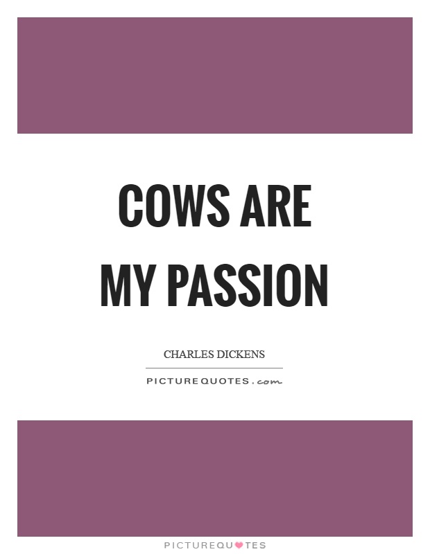 Cows are my passion Picture Quote #1