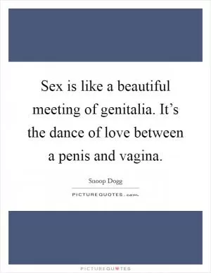 Sex is like a beautiful meeting of genitalia. It’s the dance of love between a penis and vagina Picture Quote #1