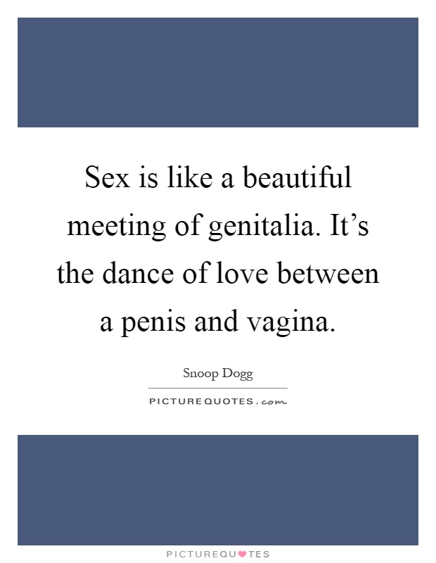 Sex is like a beautiful meeting of genitalia. It's the dance of love between a penis and vagina Picture Quote #1