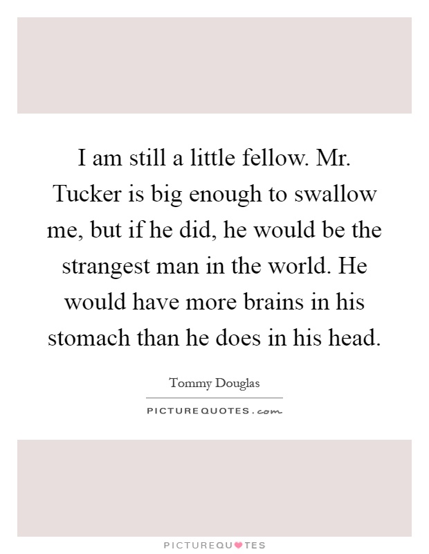 I am still a little fellow. Mr. Tucker is big enough to swallow me, but if he did, he would be the strangest man in the world. He would have more brains in his stomach than he does in his head Picture Quote #1