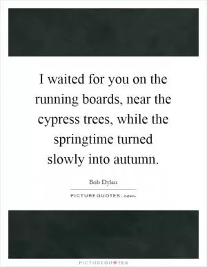 I waited for you on the running boards, near the cypress trees, while the springtime turned slowly into autumn Picture Quote #1
