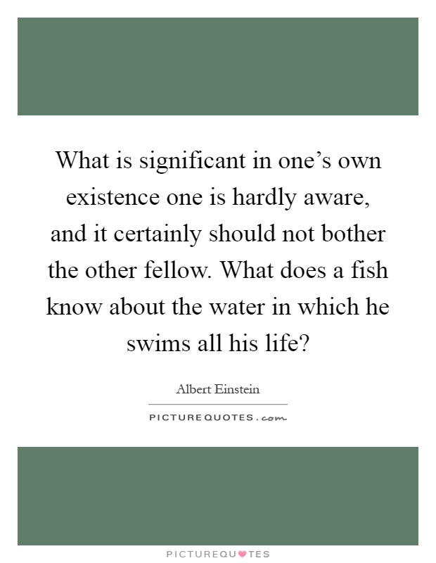 What is significant in one's own existence one is hardly aware, and it certainly should not bother the other fellow. What does a fish know about the water in which he swims all his life? Picture Quote #1
