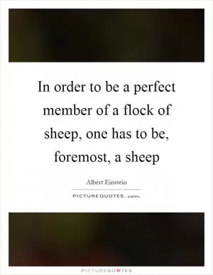 In order to be a perfect member of a flock of sheep, one has to be, foremost, a sheep Picture Quote #1