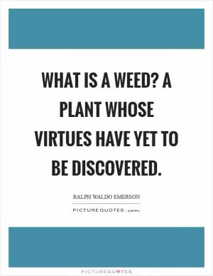 What is a weed? A plant whose virtues have yet to be discovered Picture Quote #1