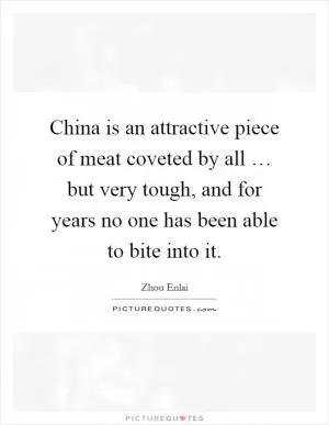 China is an attractive piece of meat coveted by all … but very tough, and for years no one has been able to bite into it Picture Quote #1