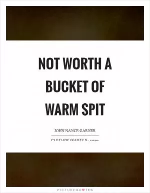 Not worth a bucket of warm spit Picture Quote #1