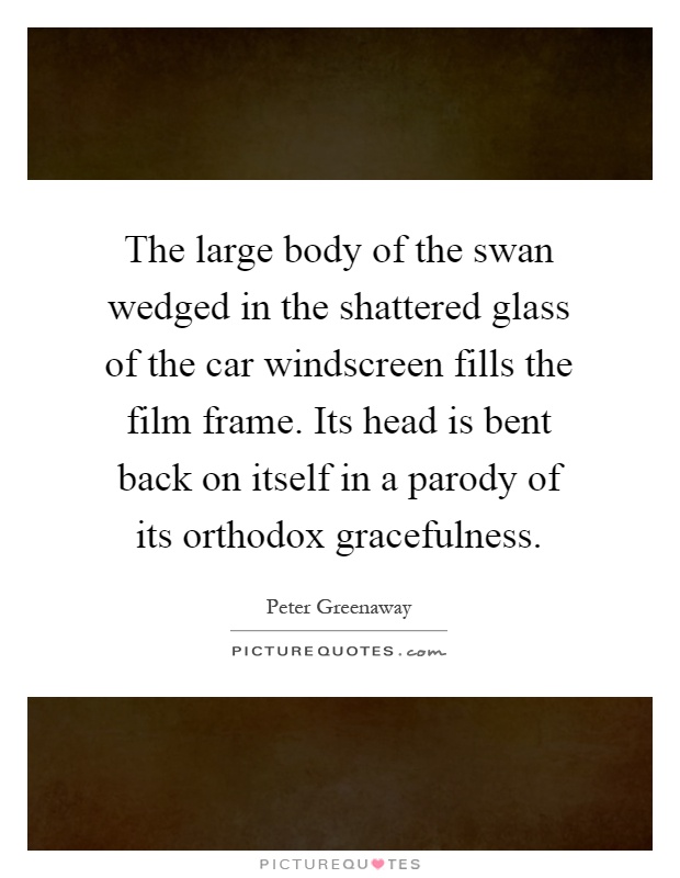 The large body of the swan wedged in the shattered glass of the car windscreen fills the film frame. Its head is bent back on itself in a parody of its orthodox gracefulness Picture Quote #1