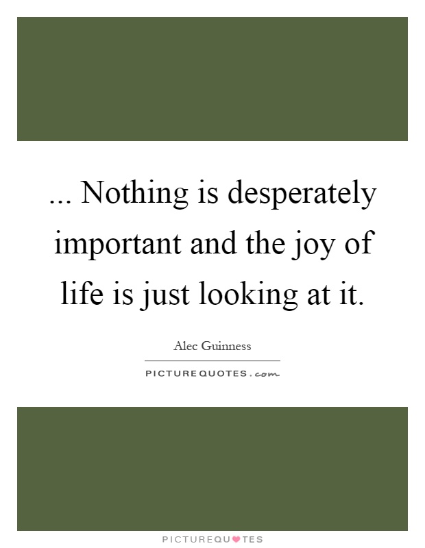 ... Nothing is desperately important and the joy of life is just looking at it Picture Quote #1