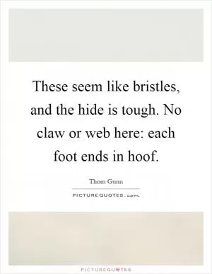 These seem like bristles, and the hide is tough. No claw or web here: each foot ends in hoof Picture Quote #1