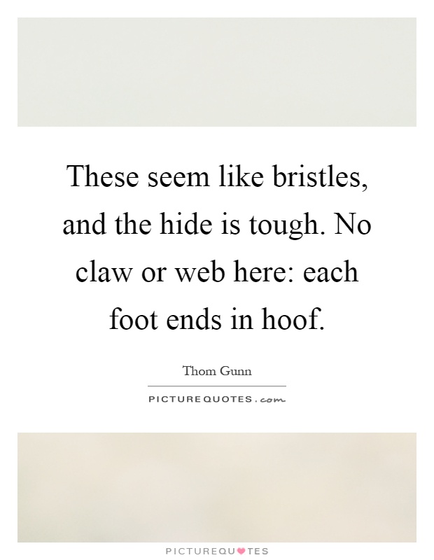 These seem like bristles, and the hide is tough. No claw or web here: each foot ends in hoof Picture Quote #1