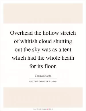 Overhead the hollow stretch of whitish cloud shutting out the sky was as a tent which had the whole heath for its floor Picture Quote #1