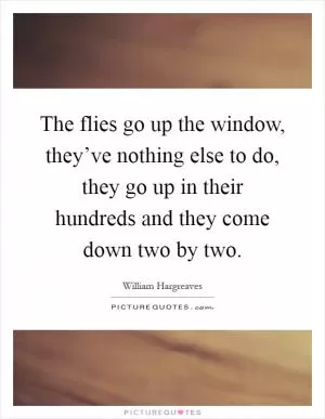 The flies go up the window, they’ve nothing else to do, they go up in their hundreds and they come down two by two Picture Quote #1