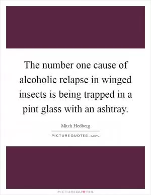 The number one cause of alcoholic relapse in winged insects is being trapped in a pint glass with an ashtray Picture Quote #1