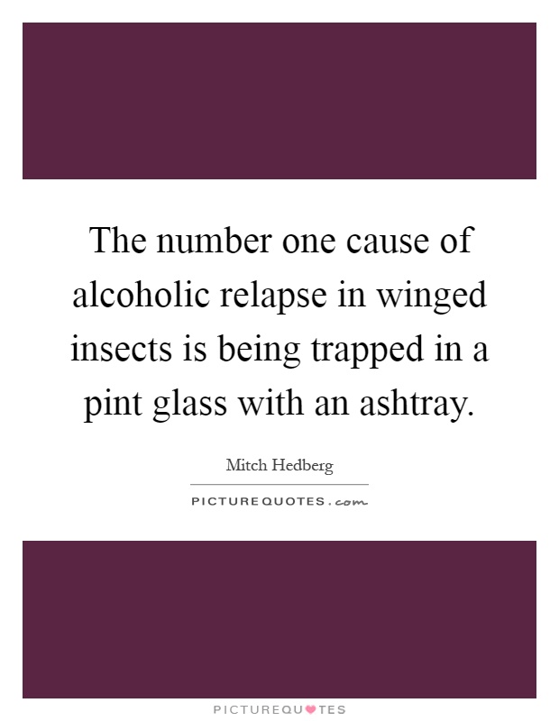 The number one cause of alcoholic relapse in winged insects is being trapped in a pint glass with an ashtray Picture Quote #1
