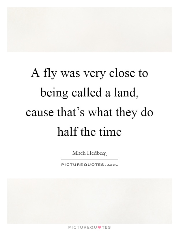 A fly was very close to being called a land, cause that's what they do half the time Picture Quote #1