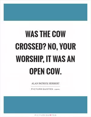 Was the cow crossed? No, your worship, it was an open cow Picture Quote #1