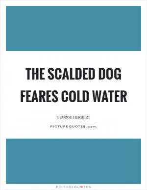 The scalded dog feares cold water Picture Quote #1