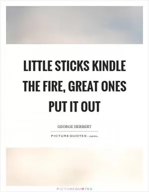 Little sticks kindle the fire, great ones put it out Picture Quote #1