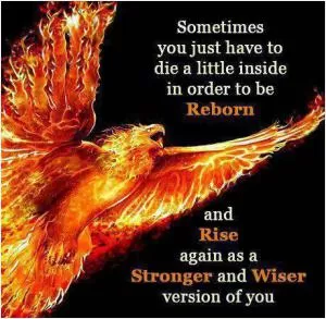 Sometimes you just have to die a little inside in order to be reborn and rise again as a stronger and wiser version of you Picture Quote #1