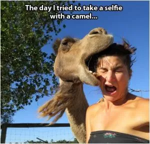 The day I tried to take a selfie with a camel Picture Quote #1