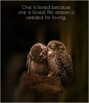 One is loved because one is loved. No reason is needed for loving Picture Quote #1