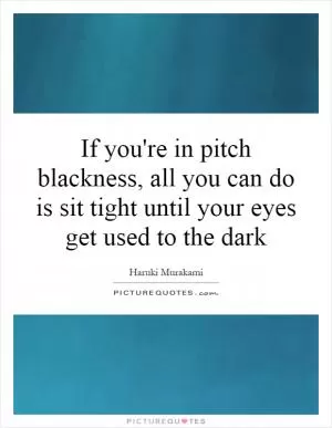 If you're in pitch blackness, all you can do is sit tight until your eyes get used to the dark Picture Quote #1