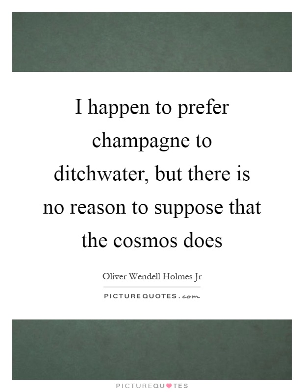 I happen to prefer champagne to ditchwater, but there is no reason to suppose that the cosmos does Picture Quote #1