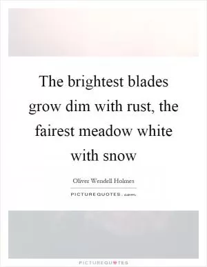The brightest blades grow dim with rust, the fairest meadow white with snow Picture Quote #1