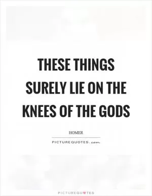These things surely lie on the knees of the gods Picture Quote #1